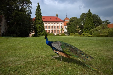 03_Ve městě a na vsi 28
